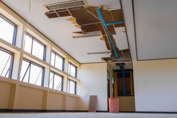 Reliable MN Water damage restoration Solutions