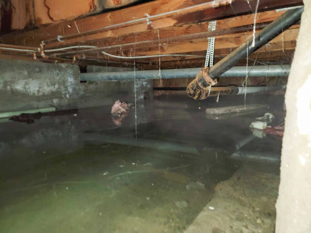 Best Emergency water damage restoration  in Mapleton, MN