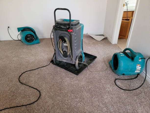 Best Flood damage cleanup  in Mapleton, MN