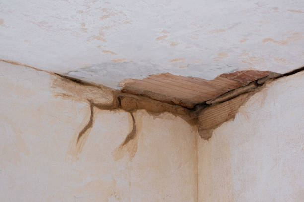 Best Ceiling water damage repair  in Mapleton, MN