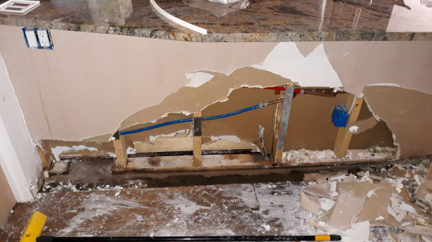 Best Residential water damage restoration  in Mapleton, MN