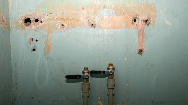 Best 24/7 water damage repair  in Mapleton, MN