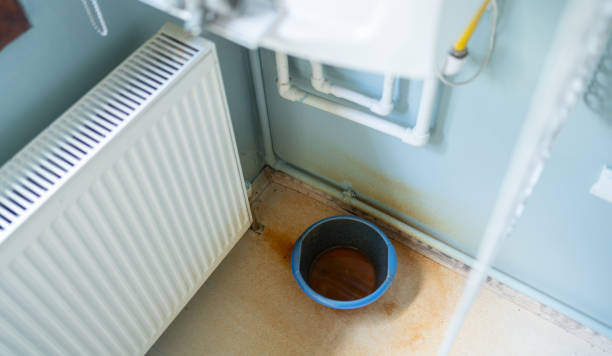 Best Mold removal after water damage  in Mapleton, MN