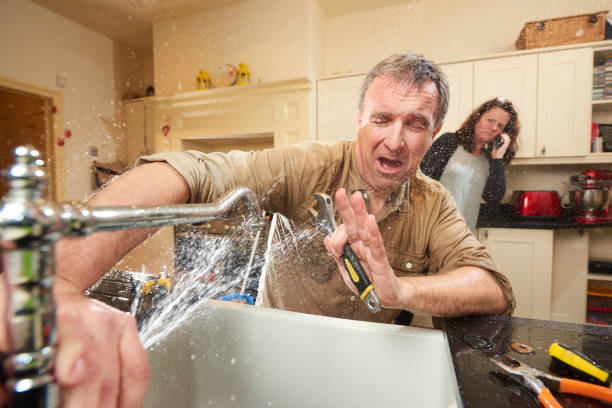Best Ceiling water damage repair  in Mapleton, MN